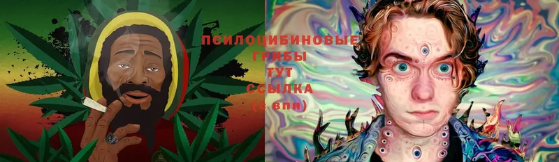 что такое наркотик  Сретенск  это как зайти  Псилоцибиновые грибы Psilocybine cubensis 